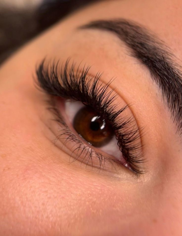 Volume Lashes